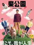 Download Video: 柴犬公园