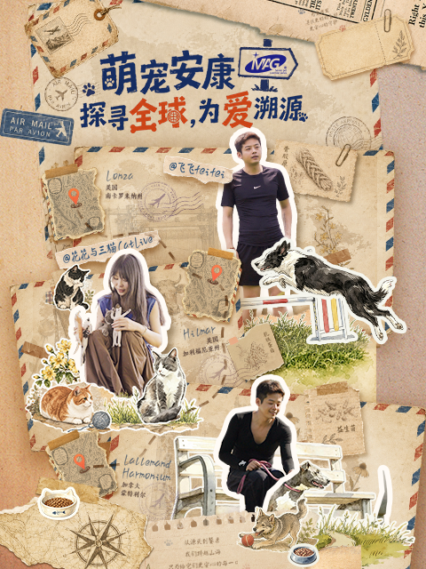 探寻全球，为爱溯源封面图