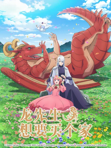 龙先生，想要买个家。