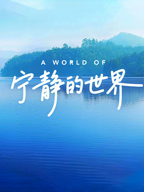 宁静的世界（中配版）