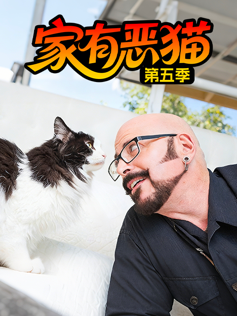 家有恶猫第五季封面图