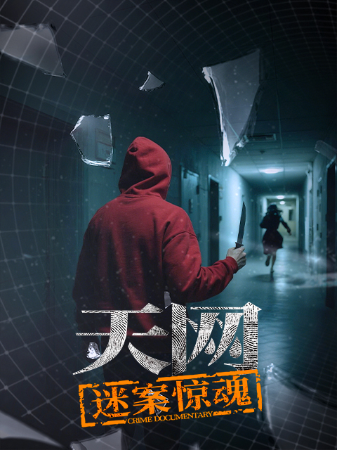 天网:迷案惊魂