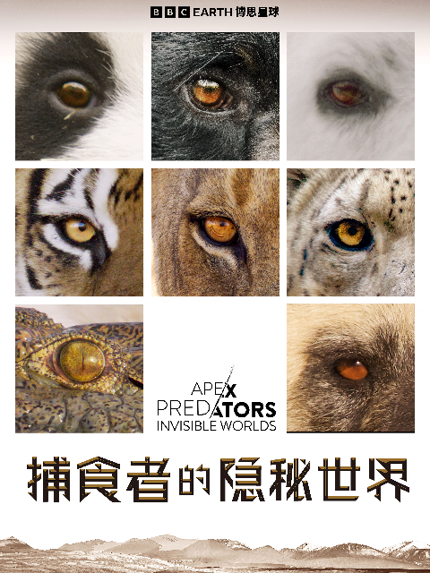 捕食者的隐秘世界}