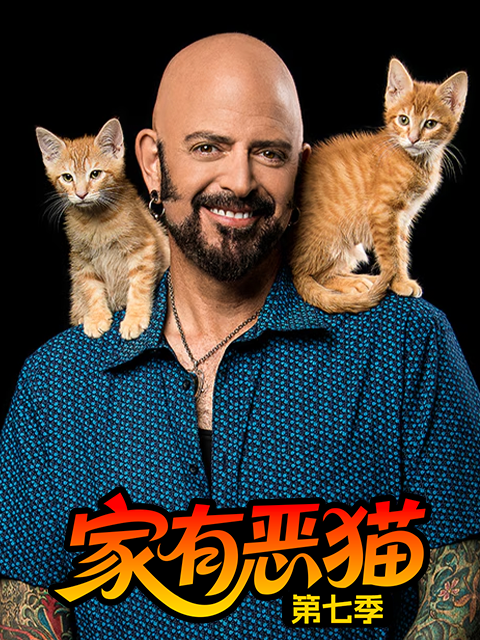 家有恶猫 第七季