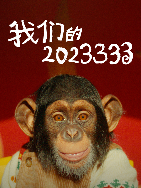 我们的2023333