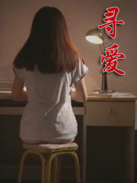 寻爱封面图