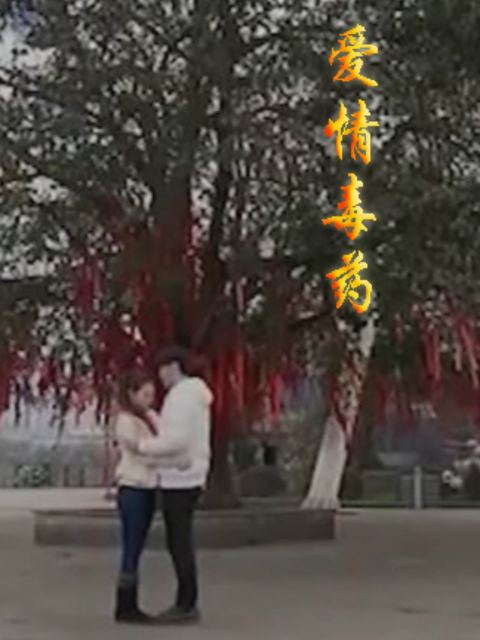 爱情毒药封面图