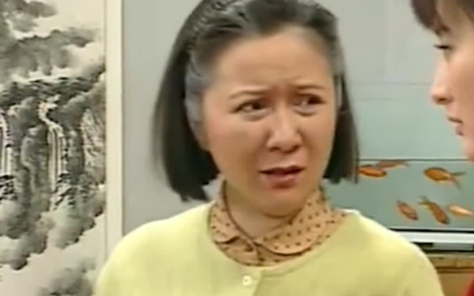 闲人马大姐 256集
