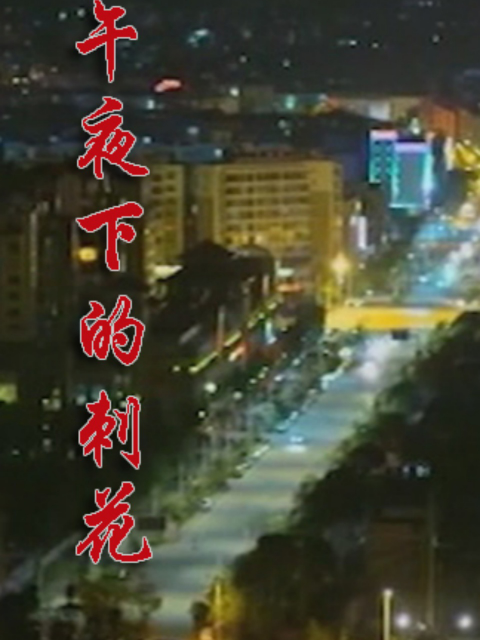 午夜下的刺花封面图