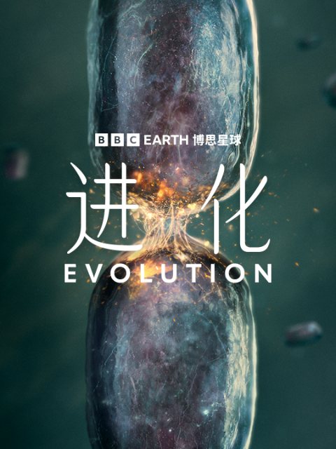 进化（中配版）封面图