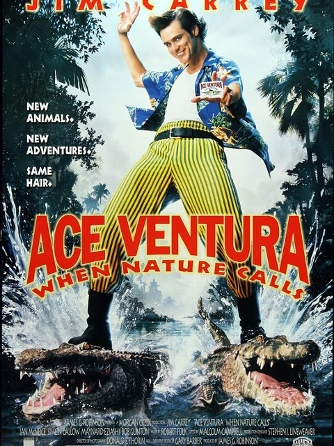 神探飞机头2封面图