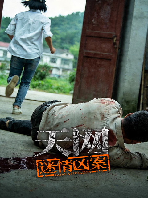 天网：迷情凶案