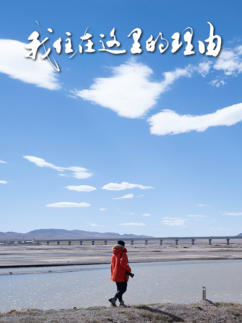 我住在这里的理由 第五季