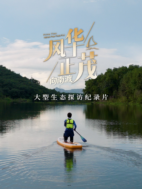 风华正茂3封面图