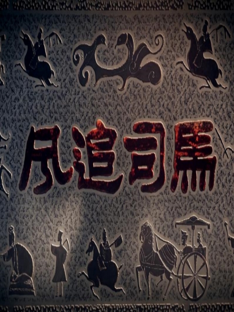 风追司马封面图