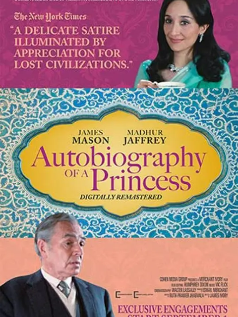 公主自传封面图