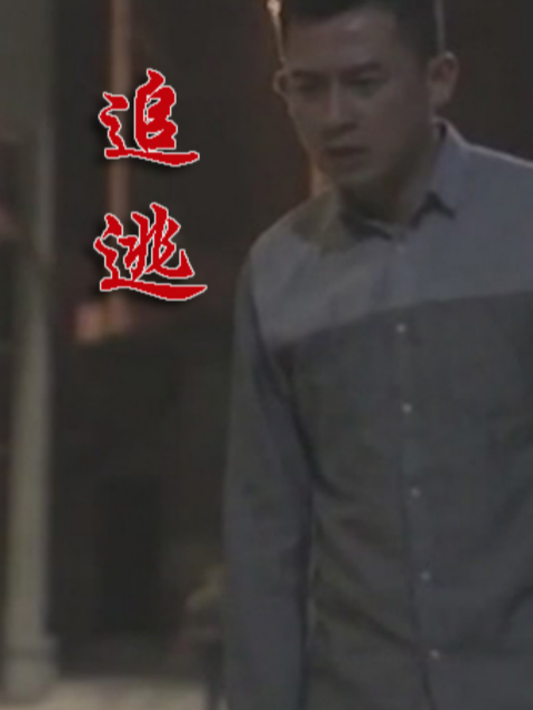 追逃封面图