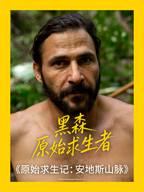 原始求生记安地斯山脉封面图