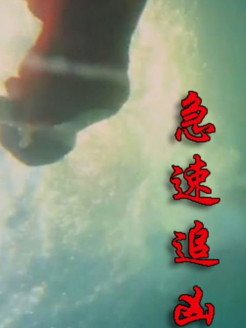 急速追凶