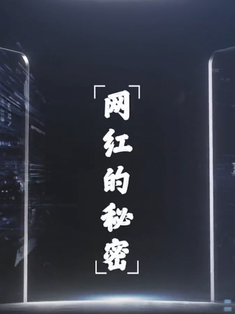 网红的秘密封面图