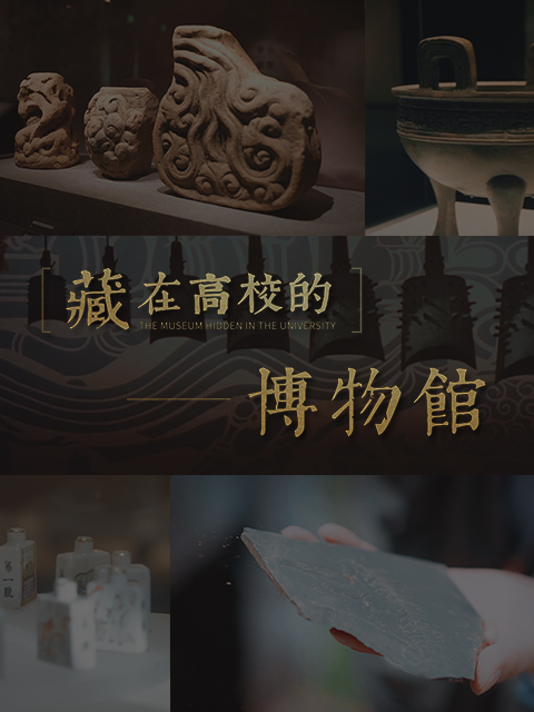 藏在高校的博物馆}