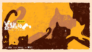 养猫的人