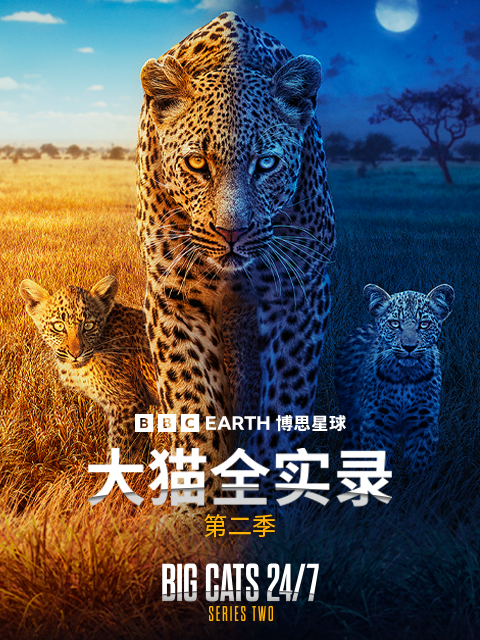 大猫全实录 2封面图