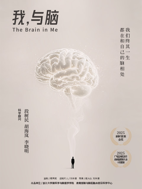 我，与脑封面图
