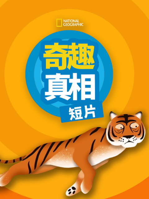 奇趣真相短片第一季