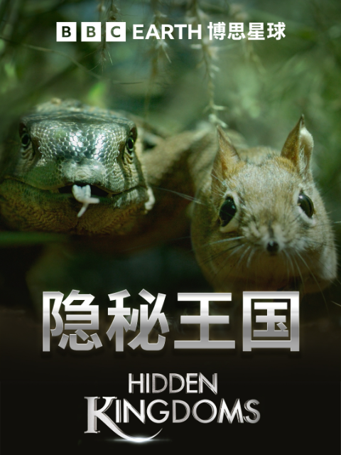 隐秘王国