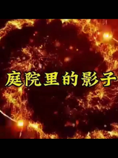 庭院里的影子封面图