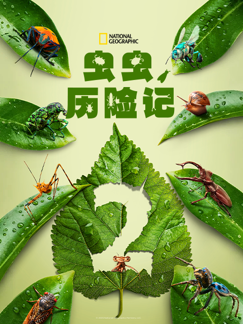 虫虫历险记  第二季