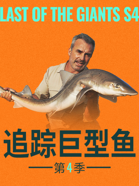 海报背景