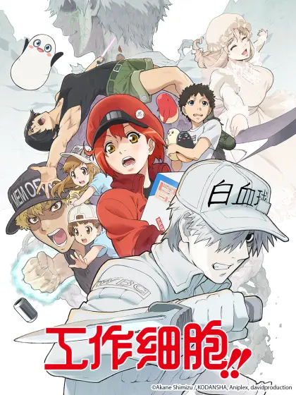 工作细胞第二季 番剧 全集 高清独家在线观看 Bilibili 哔哩哔哩