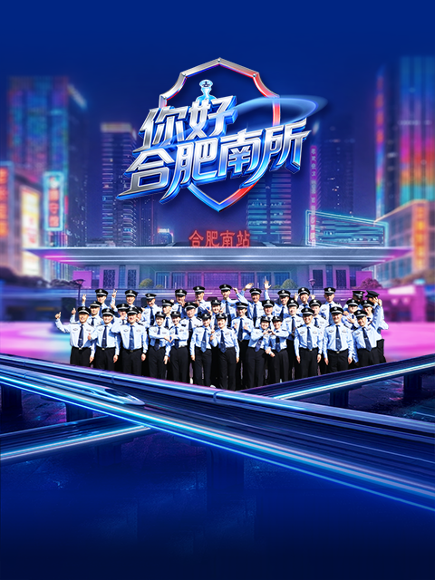 你好，合肥南所