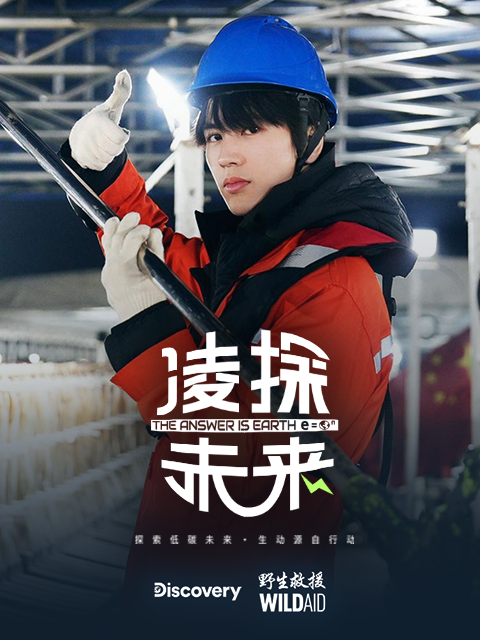 凌探未来封面图