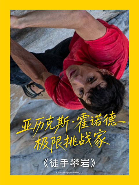 徒手攀岩封面图