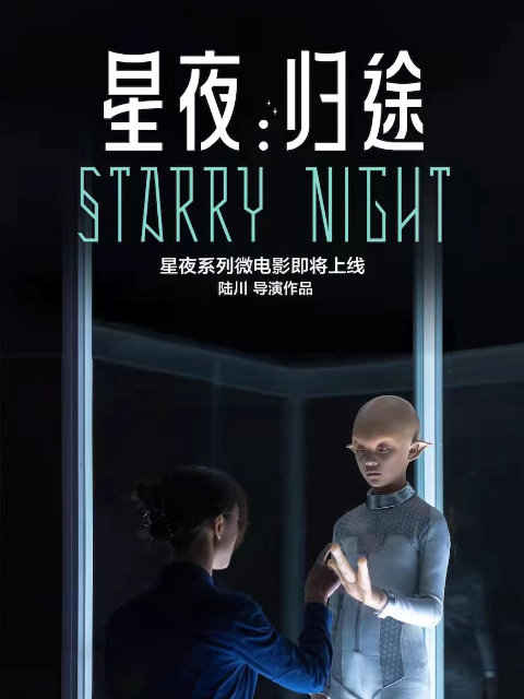 星夜归途}