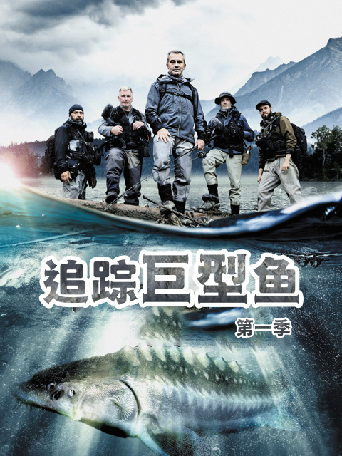 追踪巨型鱼第一季封面图