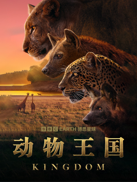 动物王国封面图