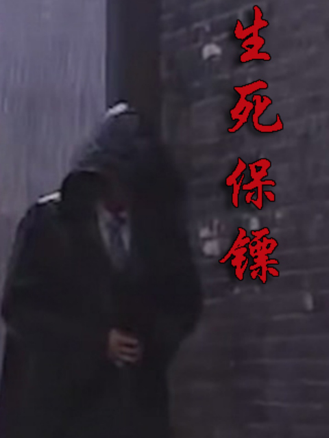 生死保镖封面图