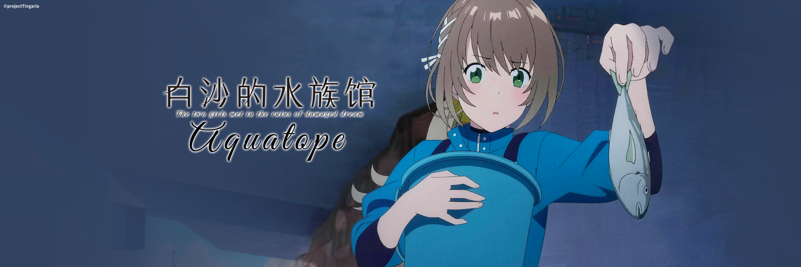 白沙的水族馆