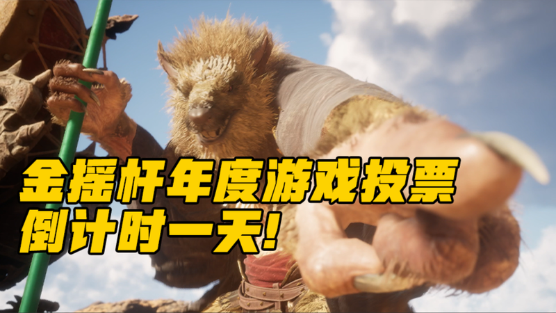 B站独家投票进行中！