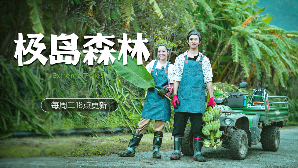 夏天！和陈柏霖去在森林里撒野！