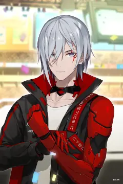 预览