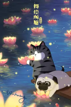 预览
