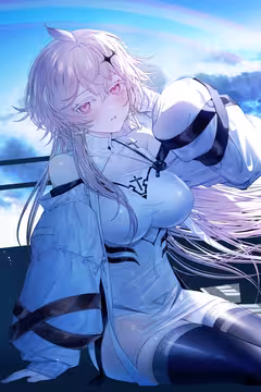预览