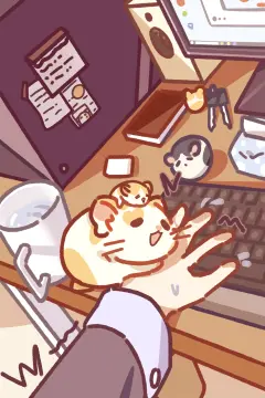预览
