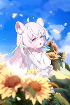 预览
