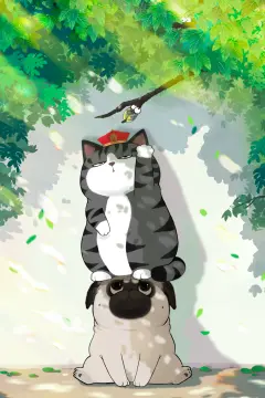 预览
